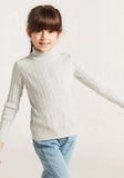 Juniors turtle neck grey sweater (Winter)