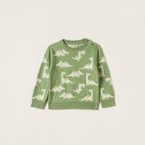 Juniors dino green pullover (Winter)