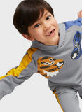 Puma Grey Tiger Embroidered Hoodies (winter)