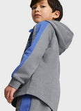 Puma Grey Tiger Embroidered Hoodies (winter)