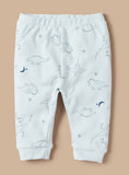 Juniors Dino Embroidered Shirt & Pyjama Set (Set Of 2)