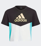 Adidas colorblock tshirt (Summer)