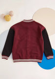 Max champion dream team button down pullover (Winter)