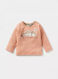 Juniors dino colorblock Fullsleeves tshirts (set of 3)