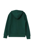 Nike jump man green hoodie  (winter)