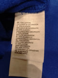 The north face men's blue sweatshirt (Winter)