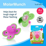 Brush baby molar munch