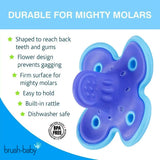 Brush baby molar munch