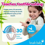 Brush Baby WildOnes Panda Kids Electric Rechargeable Toothbrush