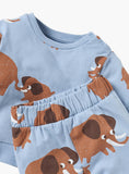 Juniors brown elephant printed shirt & jog set (set of 2) (Winter)