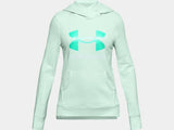 UnderArmour seagreen fleece hoodie (Winter)