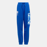Adidas Solid Blue Fleece Jog Pants (winter)