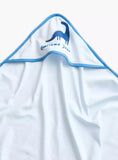 Juniors roarsome dude blanket