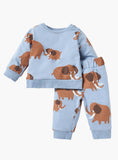 Juniors brown elephant printed shirt & jog set (set of 2) (Winter)