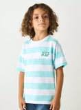 Juniors stripe & dino tshirts (set of 2) (Summer)