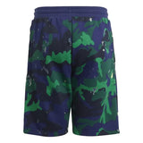 Adidas Green & Blue Tie & Dye Shorts