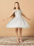 Juniors grey netted floral formal frock (Summer)