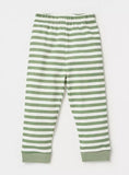 Juniors green bear & stripe printed shirt & pyjama set (set of 2)