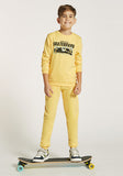Juniors yellow skateboard boys sweatshirt (Winter)