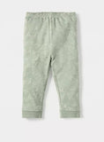 Juniors Green All Over Dino Printed Shirt & Pyjama Set (Set Of 2)