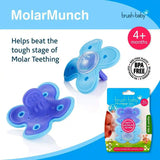 Brush baby molar munch