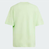 Adidas pastel green tshirt (Summer)