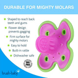 Brush baby molar munch
