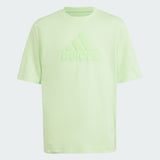 Adidas pastel green tshirt (Summer)